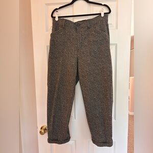 Brown Democracy Ab Technoloy Pants